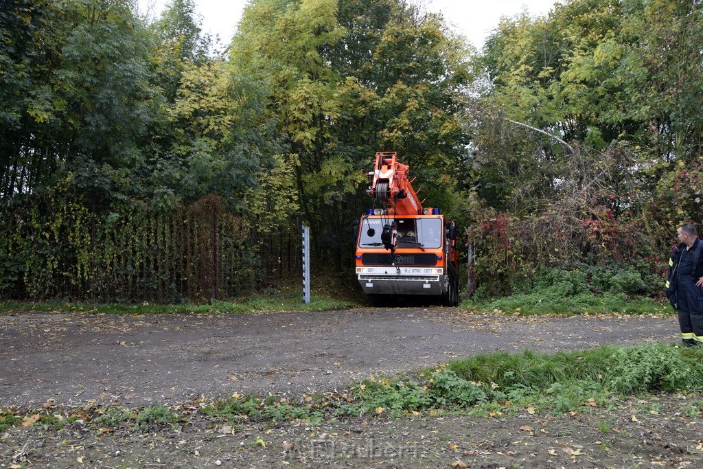 Einsatz BF Koeln PKW im See Koeln Esch P240.JPG - Miklos Laubert